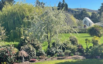 Church View Garden