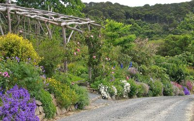 Hereweka Garden and Nursery