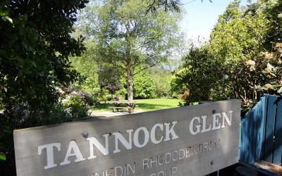 Tannock Glen